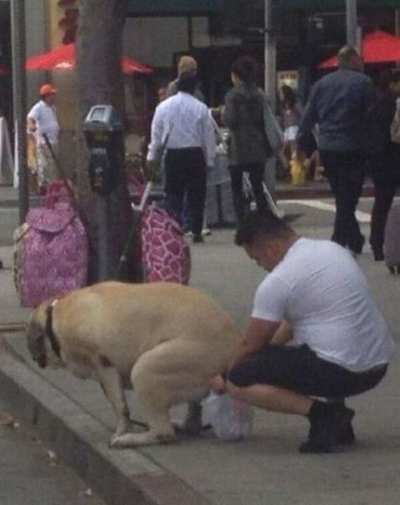 funny-pictures-497