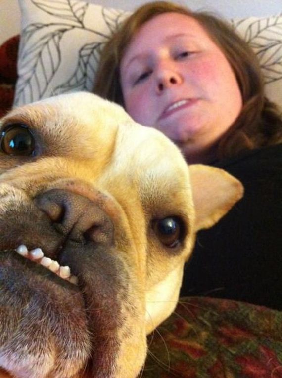 funny-pictures-497