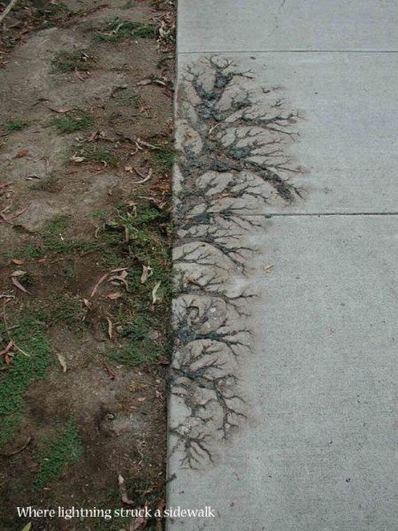 funny-pictures-497