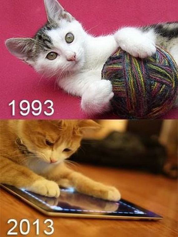 funny-pictures-497