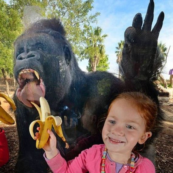 funny-pictures-497