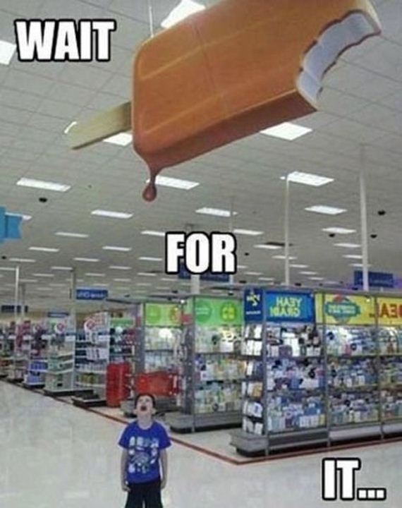 funny-pictures-497