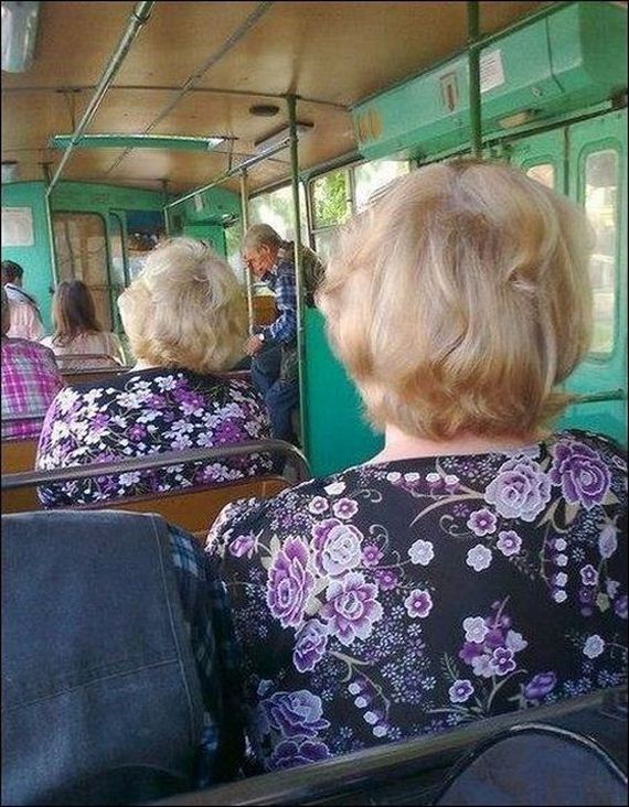 funny-pictures-498