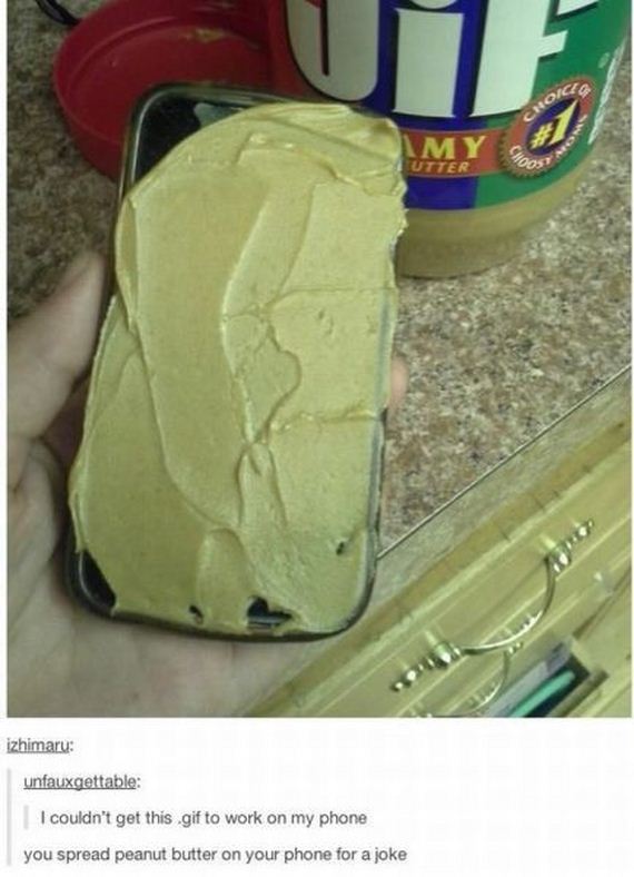 funny-pictures-498