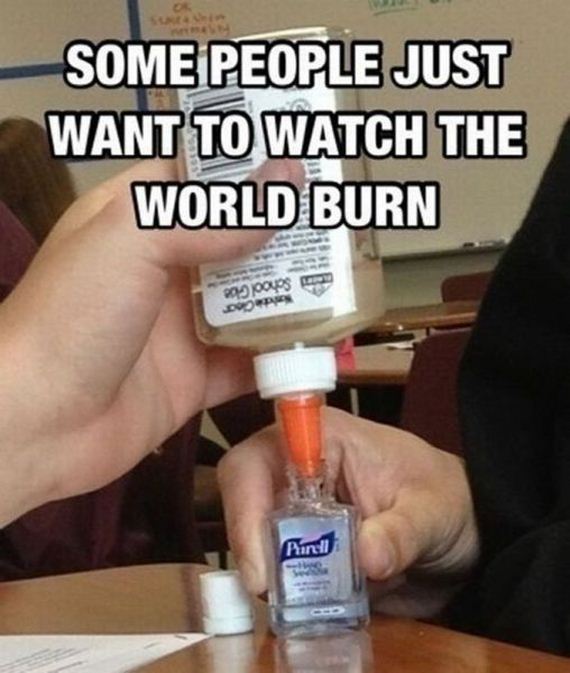 funny-pictures-498
