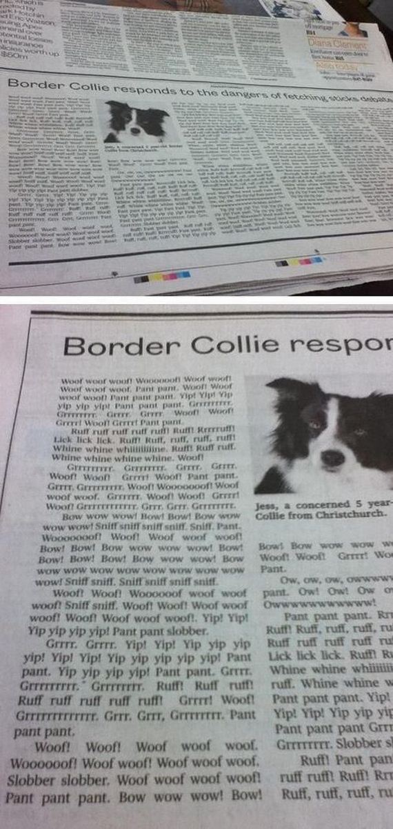 funny-pictures-498