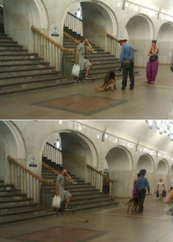 funny-pictures-498