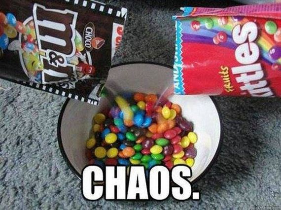 funny-pictures-498