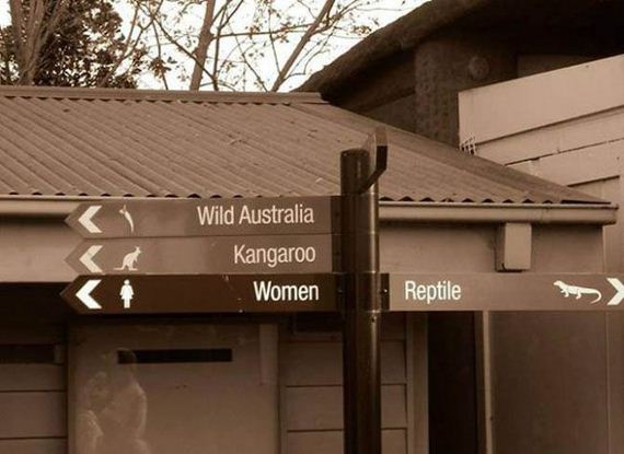 funny-pictures-501