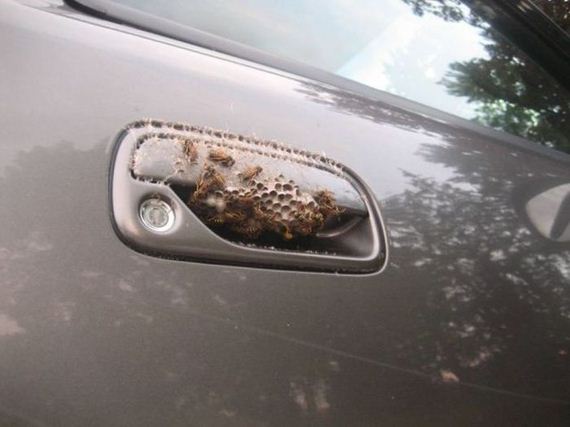 funny-pictures-501