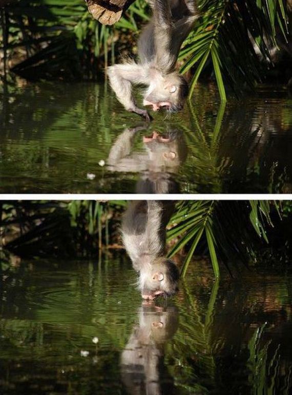 funny-pictures-501
