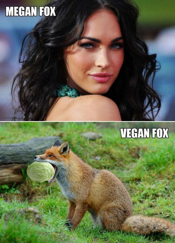 funny-pictures-501