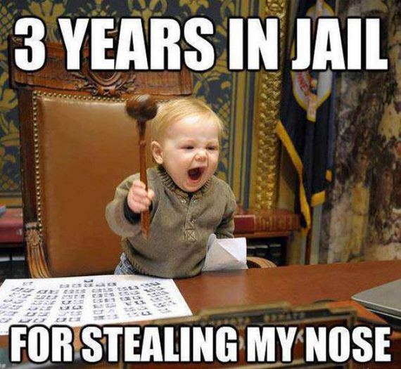 funny-pictures-501