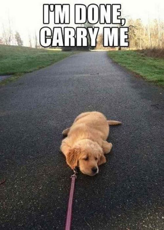 funny-pictures-501