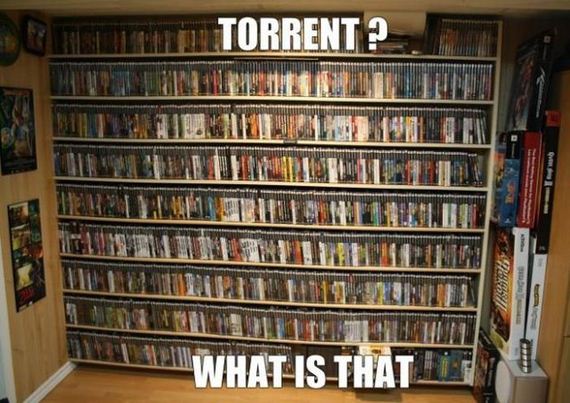funny-pictures-501