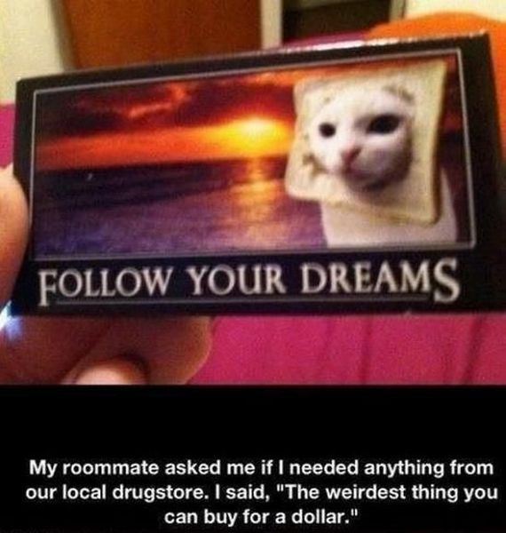 funny-pictures-501