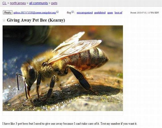funny-pictures-501