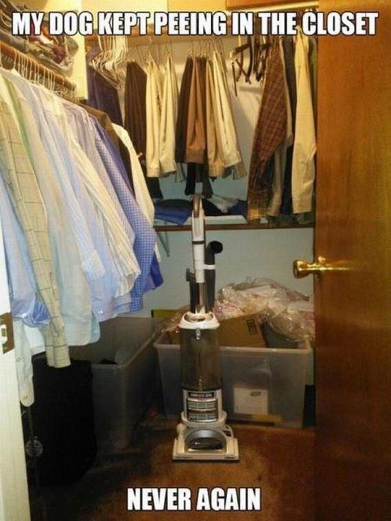 funny-pictures-501