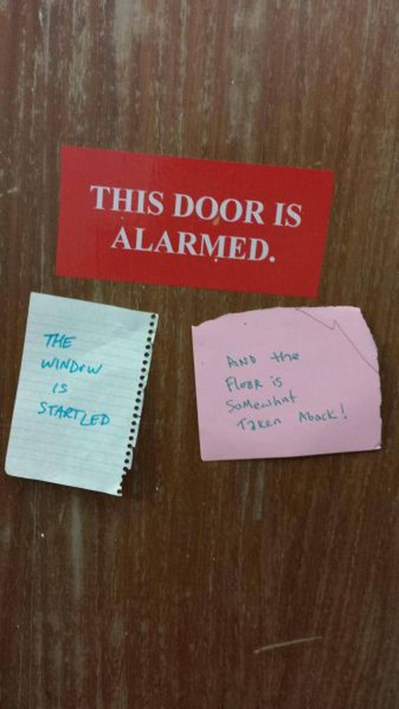 funny-pictures-501
