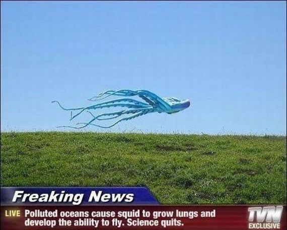 funny-pictures-501