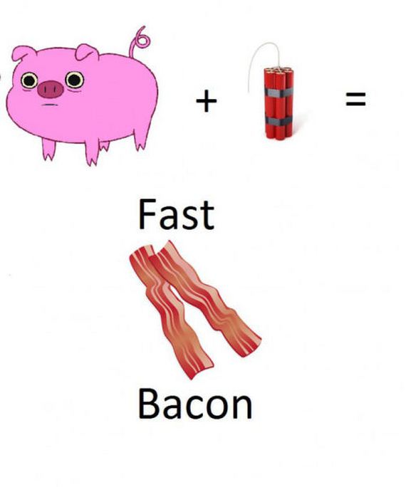 funny-pictures-501