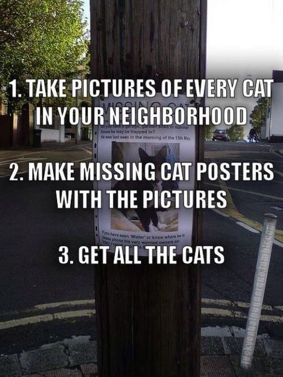 funny-pictures-502