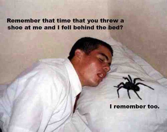 funny-pictures-502