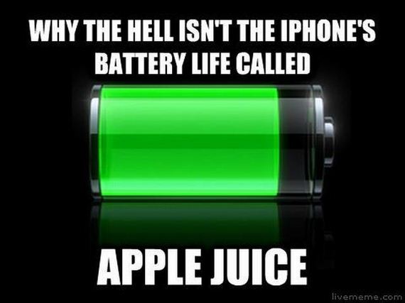 funny-pictures-503