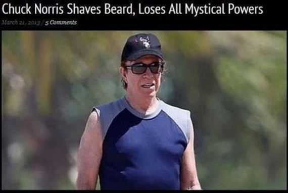 funny-pictures-503