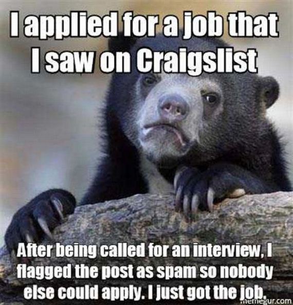 funny-pictures-503