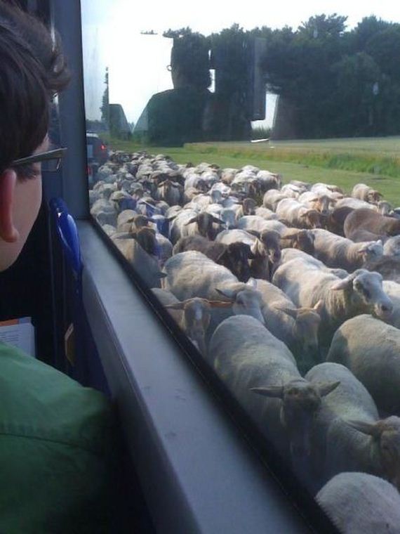 funny-pictures-504