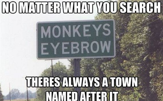 funny-pictures-505