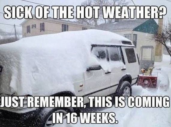 funny-pictures-505