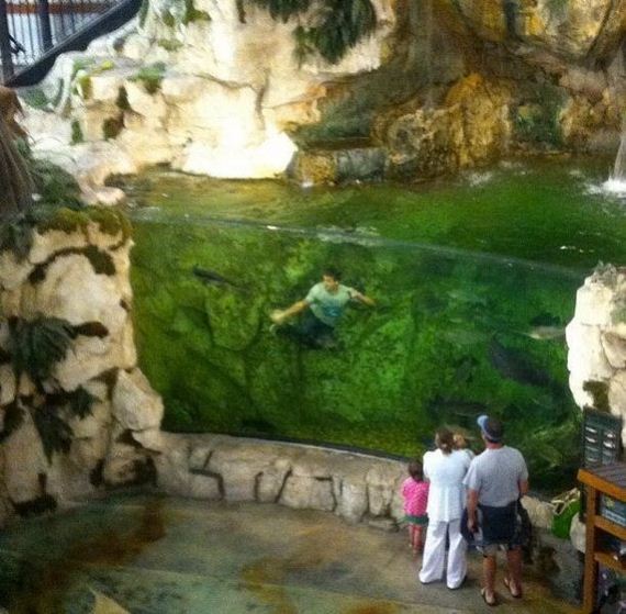 funny-pictures-505