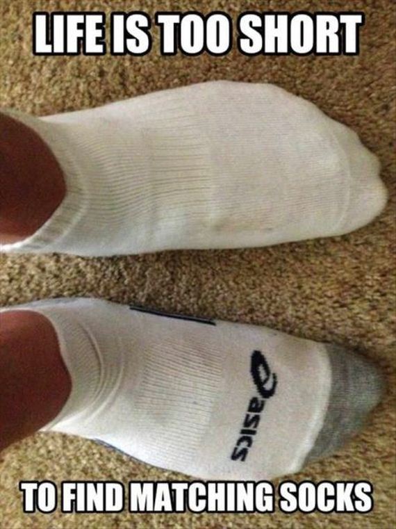 funny-pictures-505