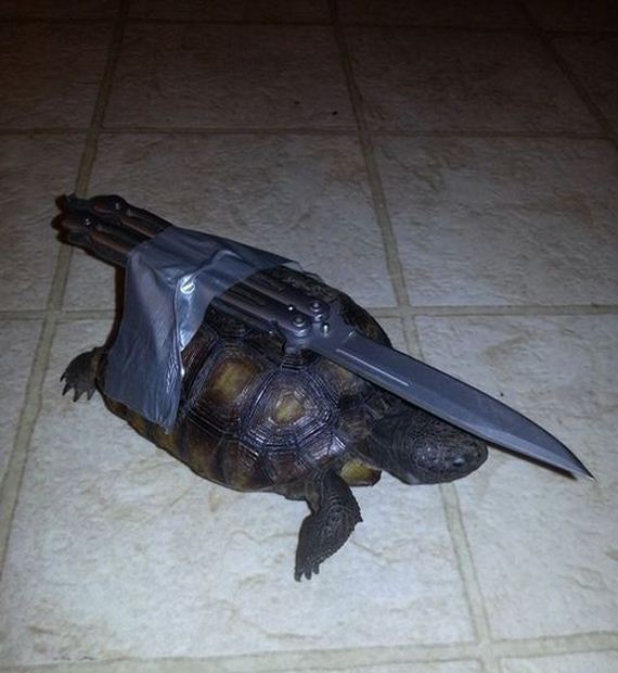 funny-pictures-505