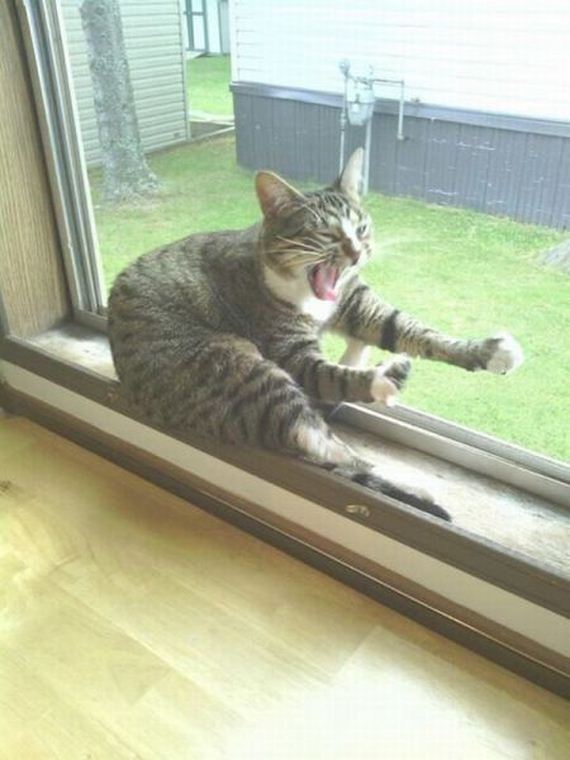 funny-pictures-506