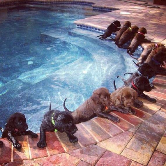 funny-pictures-506