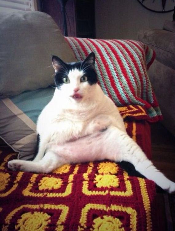 funny-pictures-506