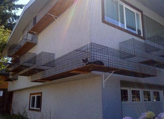 funny-pictures-506