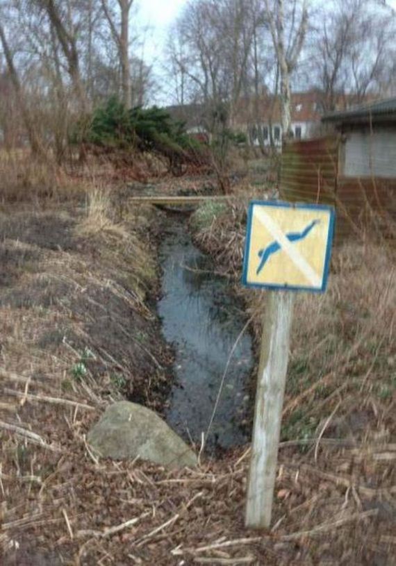funny-pictures-506