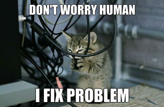 funny-pictures-506
