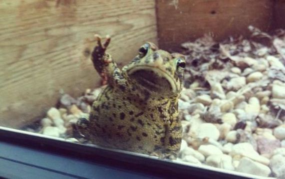 funny-pictures-506