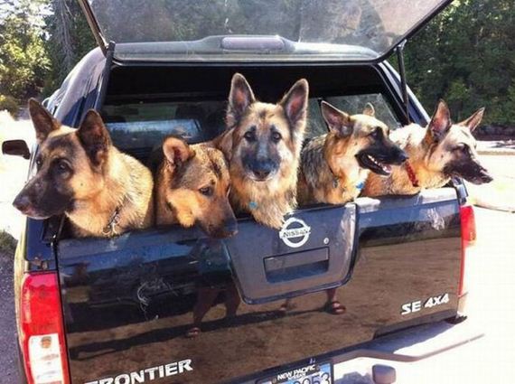 funny-pictures-506