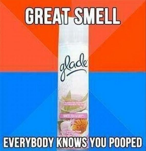 funny-pictures-506