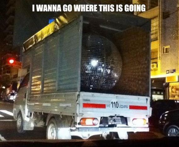 funny-pictures-506
