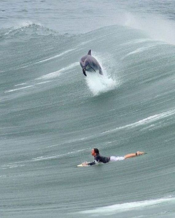 funny-pictures-506