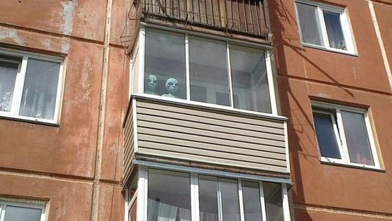funny-pictures-507