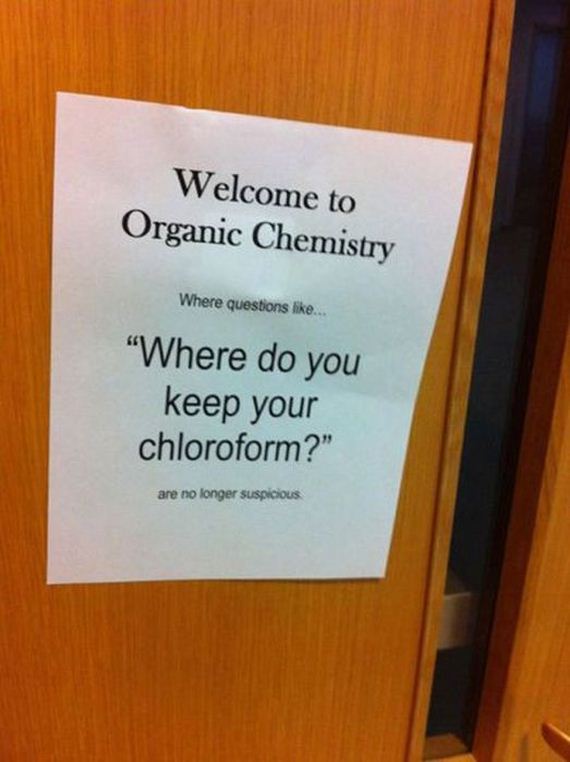 funny-pictures-507