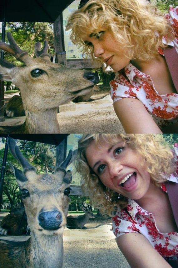 funny-pictures-507